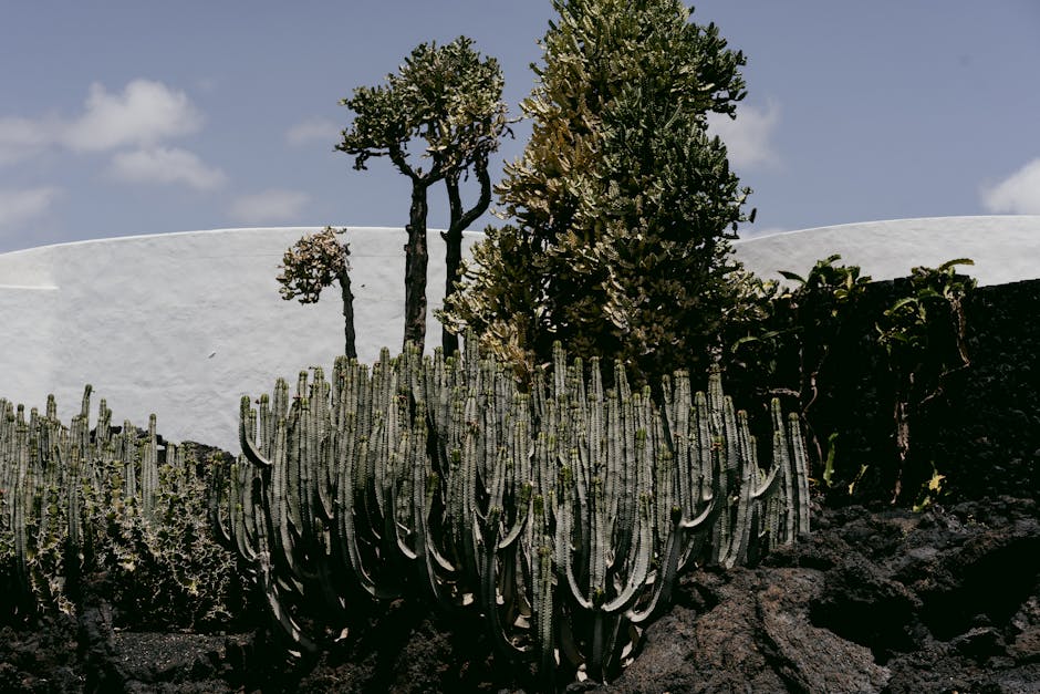 Estructura de soporte para jardín vertical con perfiles metálicos