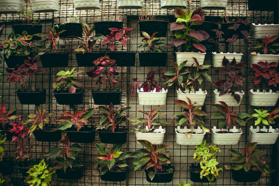Sistema de riego por goteo instalado en jardín colgante