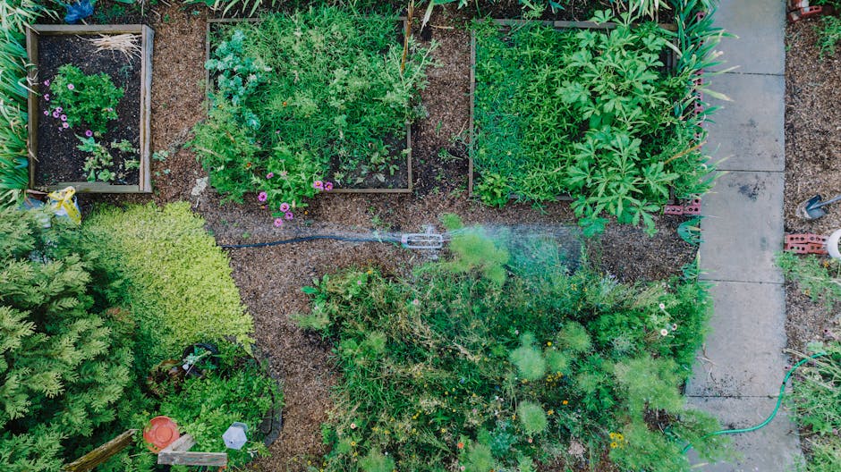 Variedad de plantas aromáticas y hortalizas en jardín vertical urbano