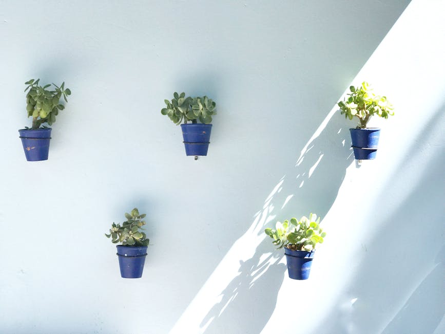 Plantas aromáticas en jardín vertical de interior